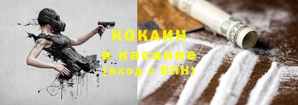 дурь Пересвет