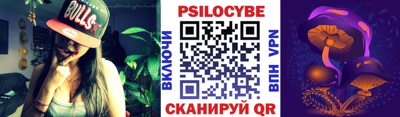 Псилоцибиновые грибы Psilocybe  купить   blacksprut сайт  Райчихинск 