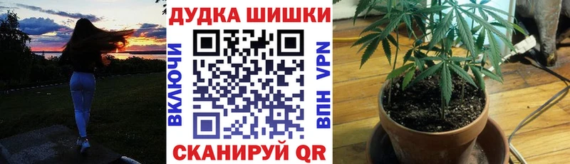 наркошоп  Райчихинск  Бошки марихуана сатива 